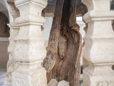 ...al cui centro svetta l�antico pozzo che racchiude al suo interno un secolare e �miracoloso� tronco d�albero
